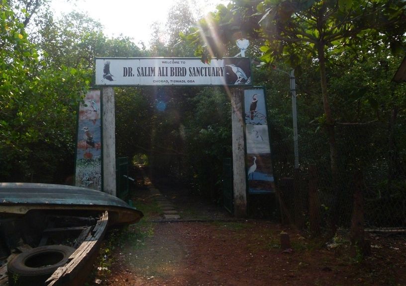 Dr Salim Ali Bird Sanctuary Goa