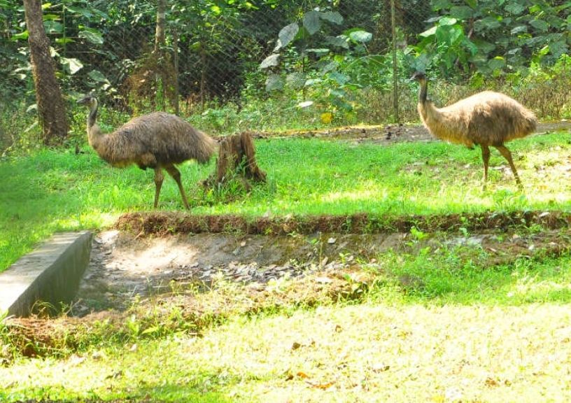 Hidden gems in Goa: Bhagwan Mahavir wildlife sanctuary