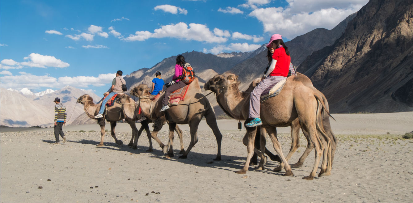 Nubra Valley Travel Guide: Things To Do, Where To Stay, How To Reach