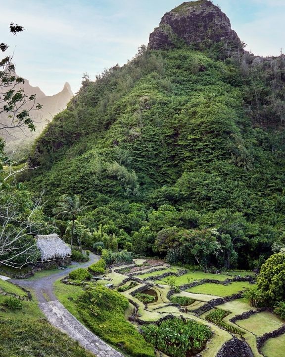 kauai hawaii