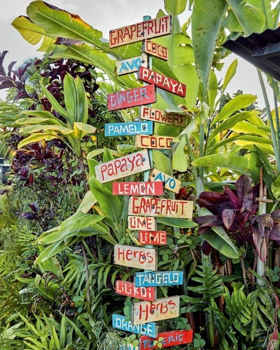 kauai hawaii