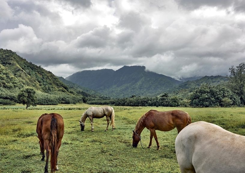 kauai hawaii