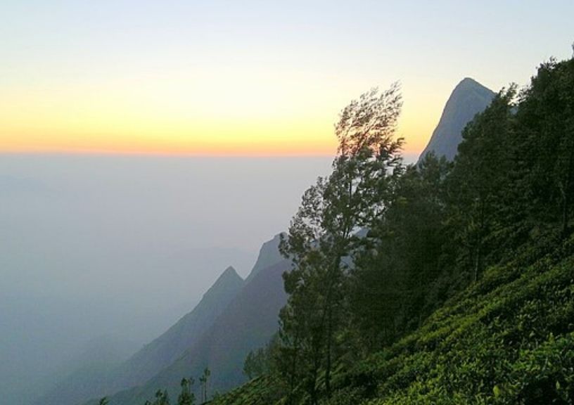 Kolukkumalai Peak trek