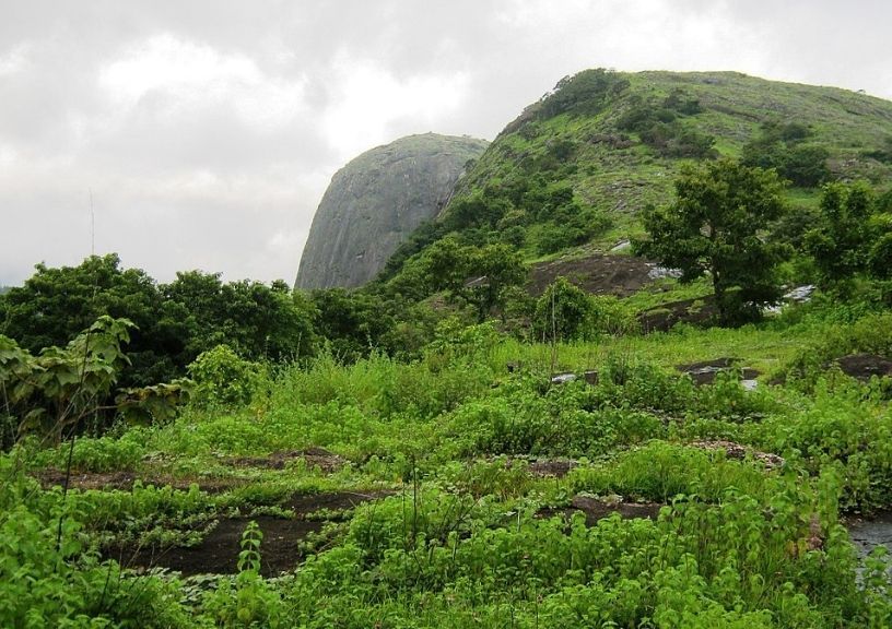 Dhoni Hills