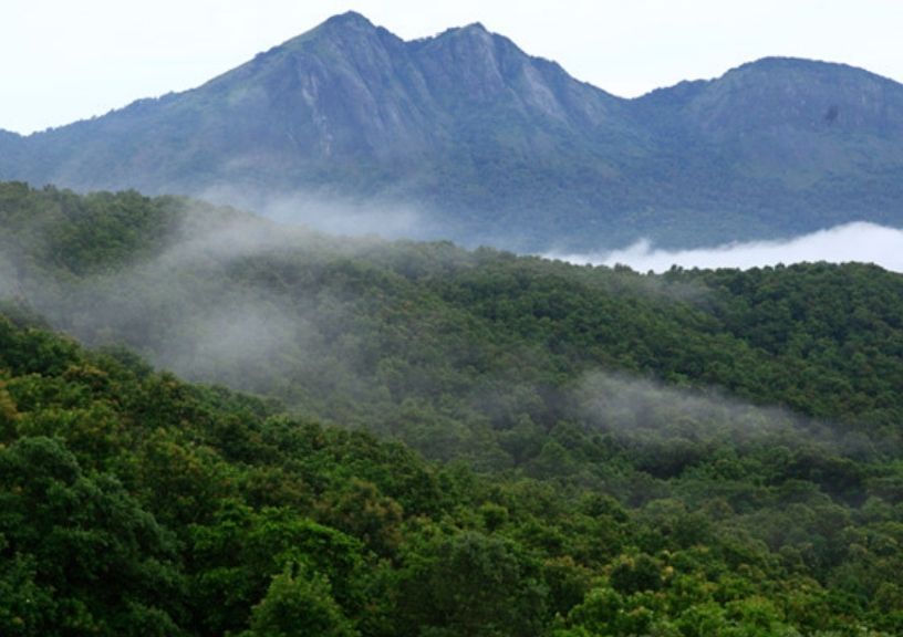 Hiking trails in Kerala: Anamudi Peak