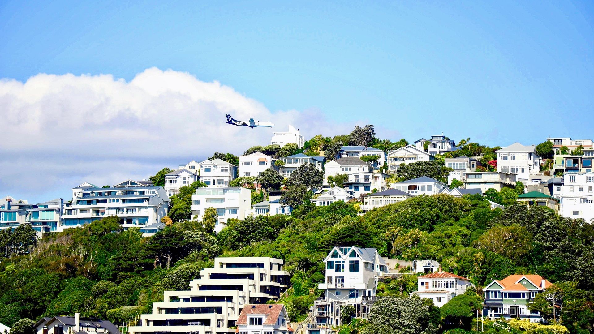 Wellington