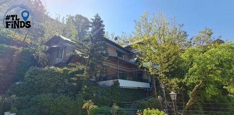 TL Finds: Summer House, Kasauli—A Four-Bedroom Homestay In The Hills