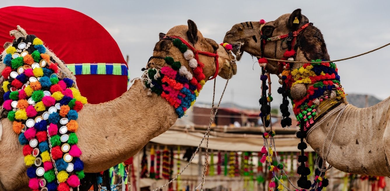 Enjoy Rajasthan's Cultural Side At These 5 Traditional Fairs And Festivals