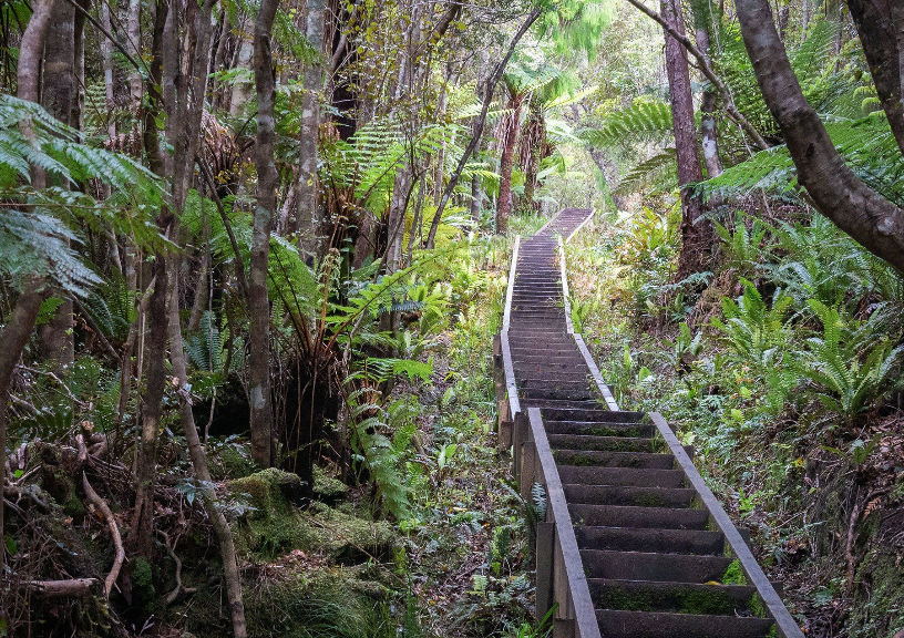 Hiking Trail