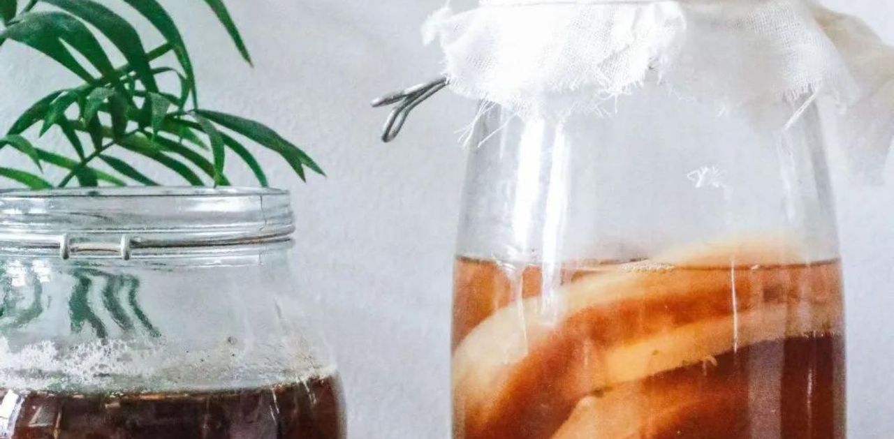 Herbal Tea, Honey Kombucha, And Other Alternative Options - Fermenting for  Foodies