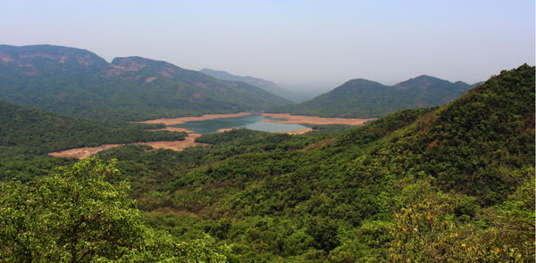 Soon, Forest Areas In Goa To Be Developed As Ecotourism Spots