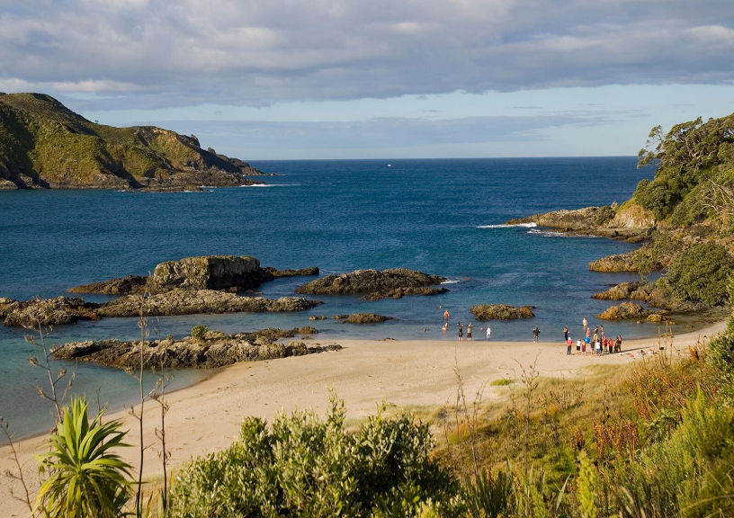 Beach In New Zealand