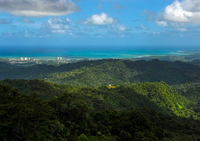 Vacation Homes in Puerto Rico