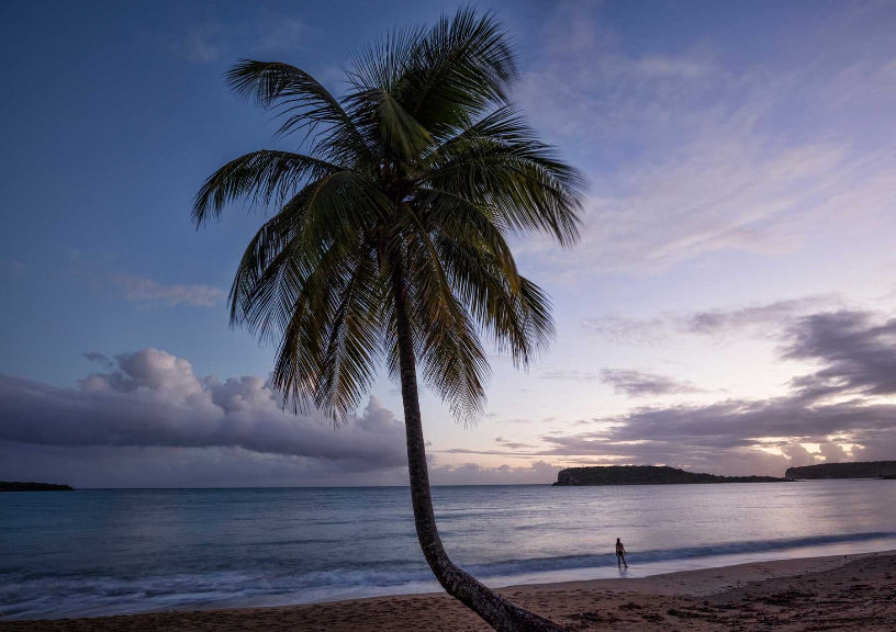 Vieques