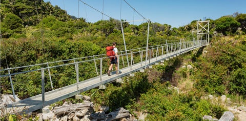 Your Quick Guide To The Great Walks In New Zealand