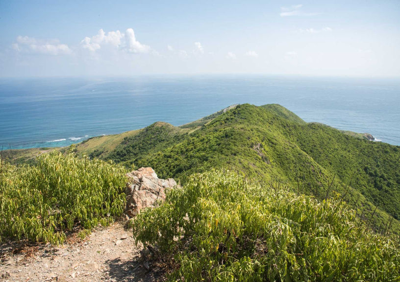 caribbean