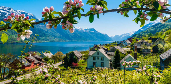 This Norway Mystery Trip Could Include Fjord Cruising, Treetop Cabins And Reindeer — But It’s All A Surprise