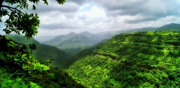 Maharashtrian Delights: Hill Stations Near Mumbai You Can’t Afford To Miss