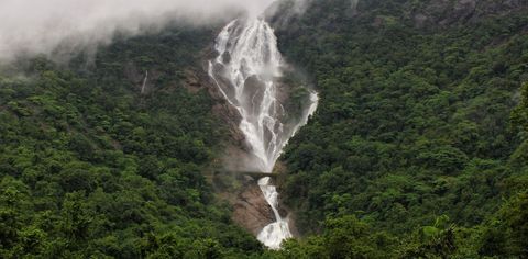 Dudhsagar Falls: The Only Guide You'll Ever Need To Visit This Stunning Goa Spot