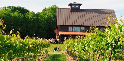 How Vermont Became New England's Natural Wine Destination