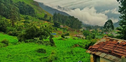 Travelling To Ooty? These Places Are A Must-Visit There