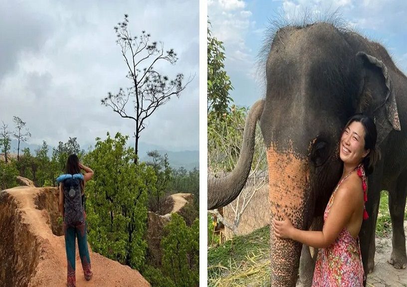 Travel for a year