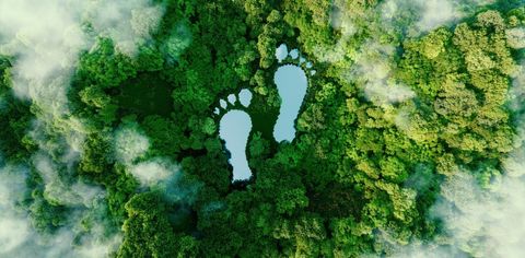 What Does Carbon Footprint Mean And Other Basic Terms Every Conscious Traveller Should Know