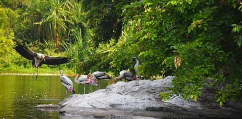 Done With Goa's Nightlife? Go On A Date With Nature At These National Parks In Goa