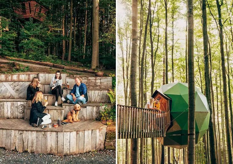 German forests