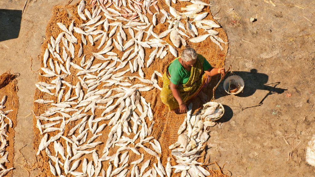 woman selling fish