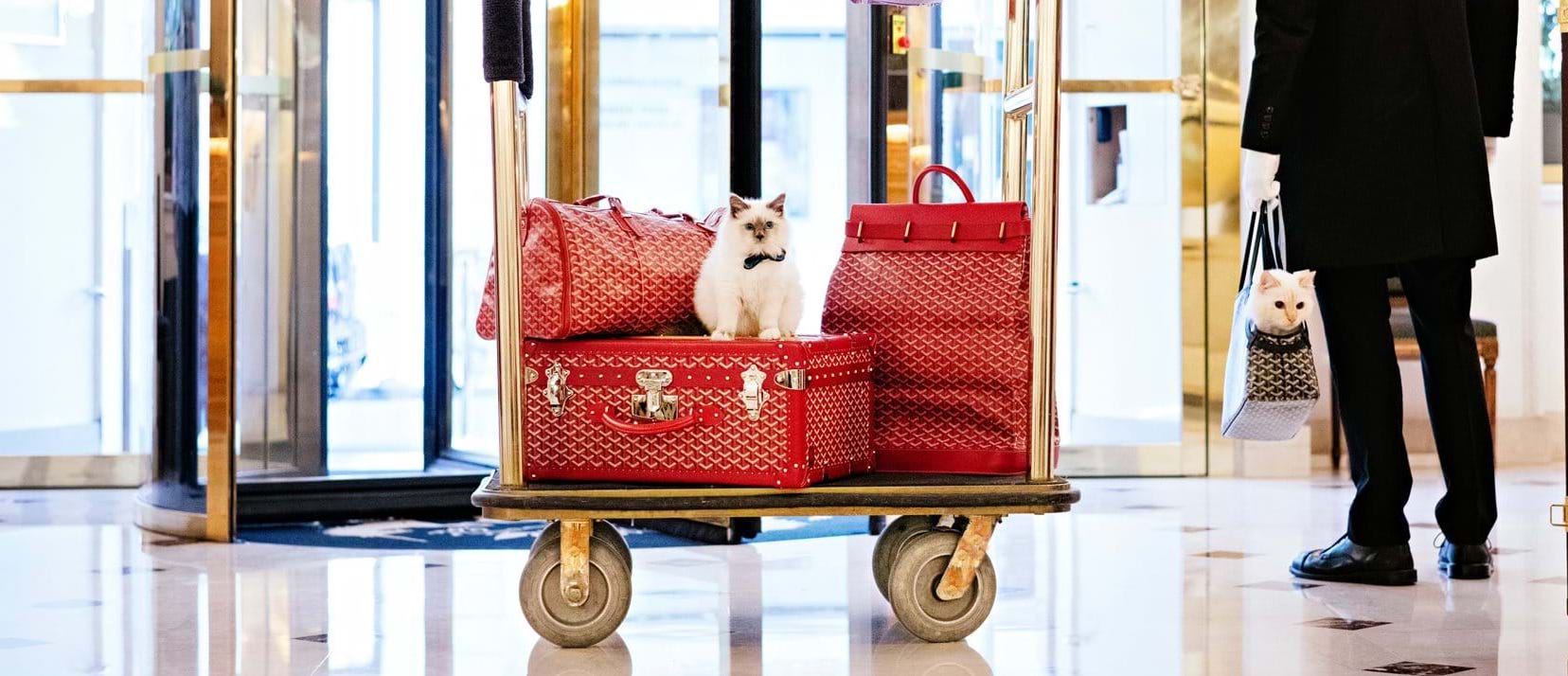 Louis Vuitton Has A New Hard-Sided Trunk Just For Your Pets