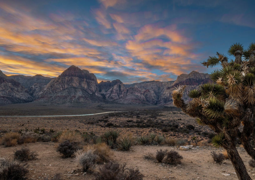 Red Rock Canyon National Conservation Area