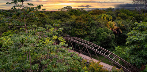 This New Costa Rica Resort Is A Nature Lover's Dream — With Rain Forest Hikes, Ocean Safaris And Zip Line
