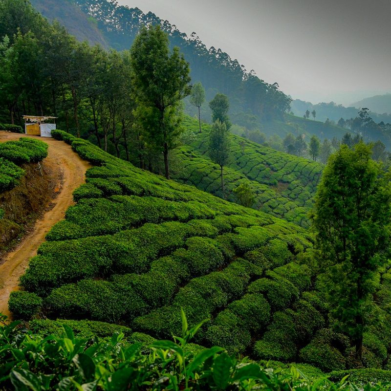 destination-travel-guide-india-travel-leisure-asia-hong-kong-macau