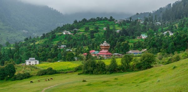 Your Ultimate Travel Guide To Sainj Valley In Himachal Pradesh