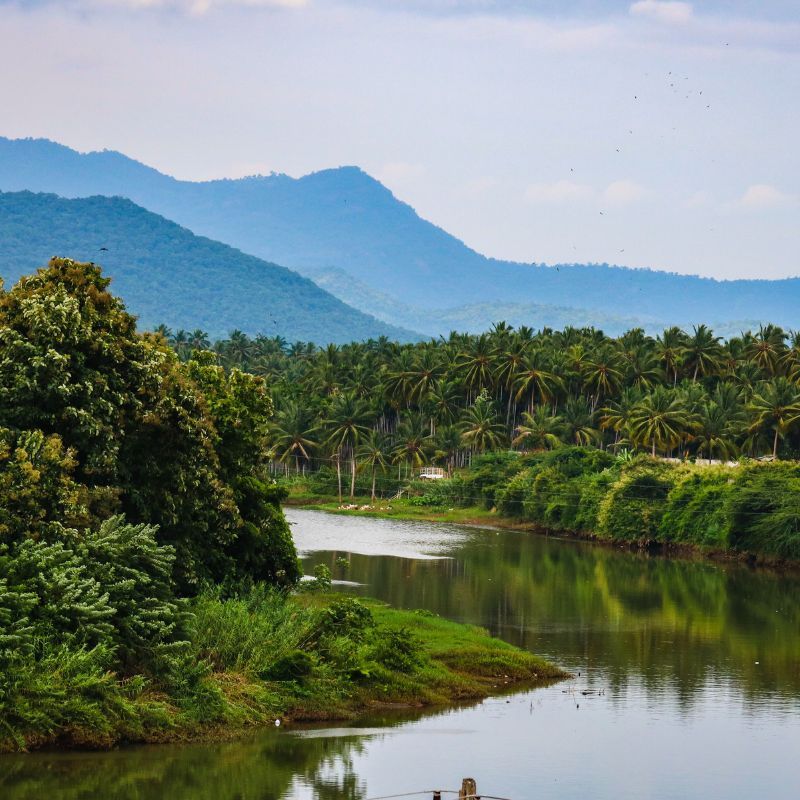 Discover Mettupalayam: Here's How To Make The Most Of Your Visit To The Charming Town
