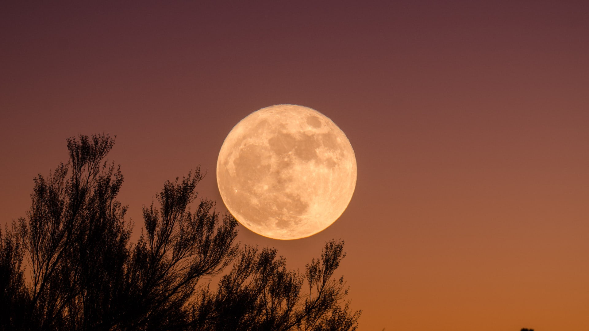 August supermoon
