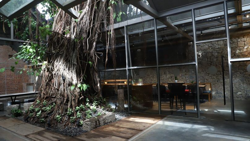 Banyan Tree Cafe, Mumbai
