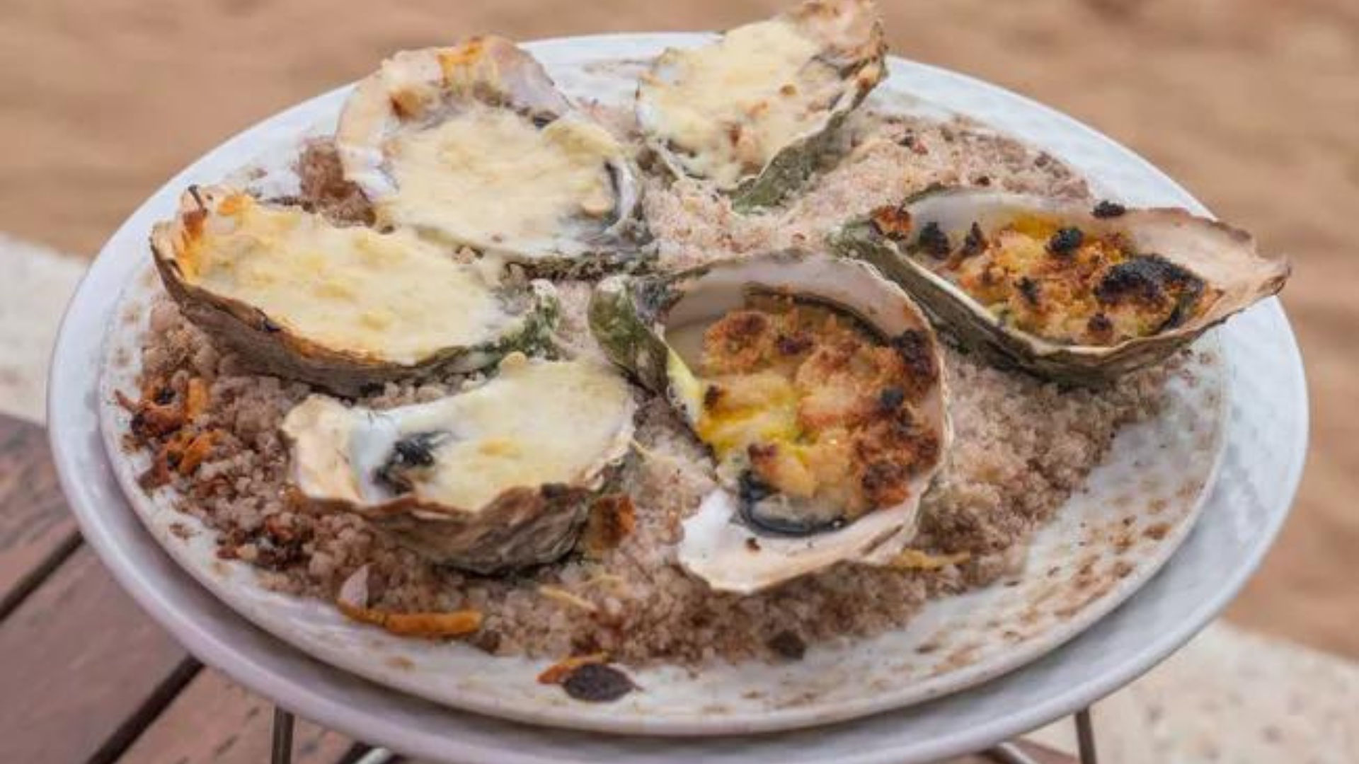 Oysters