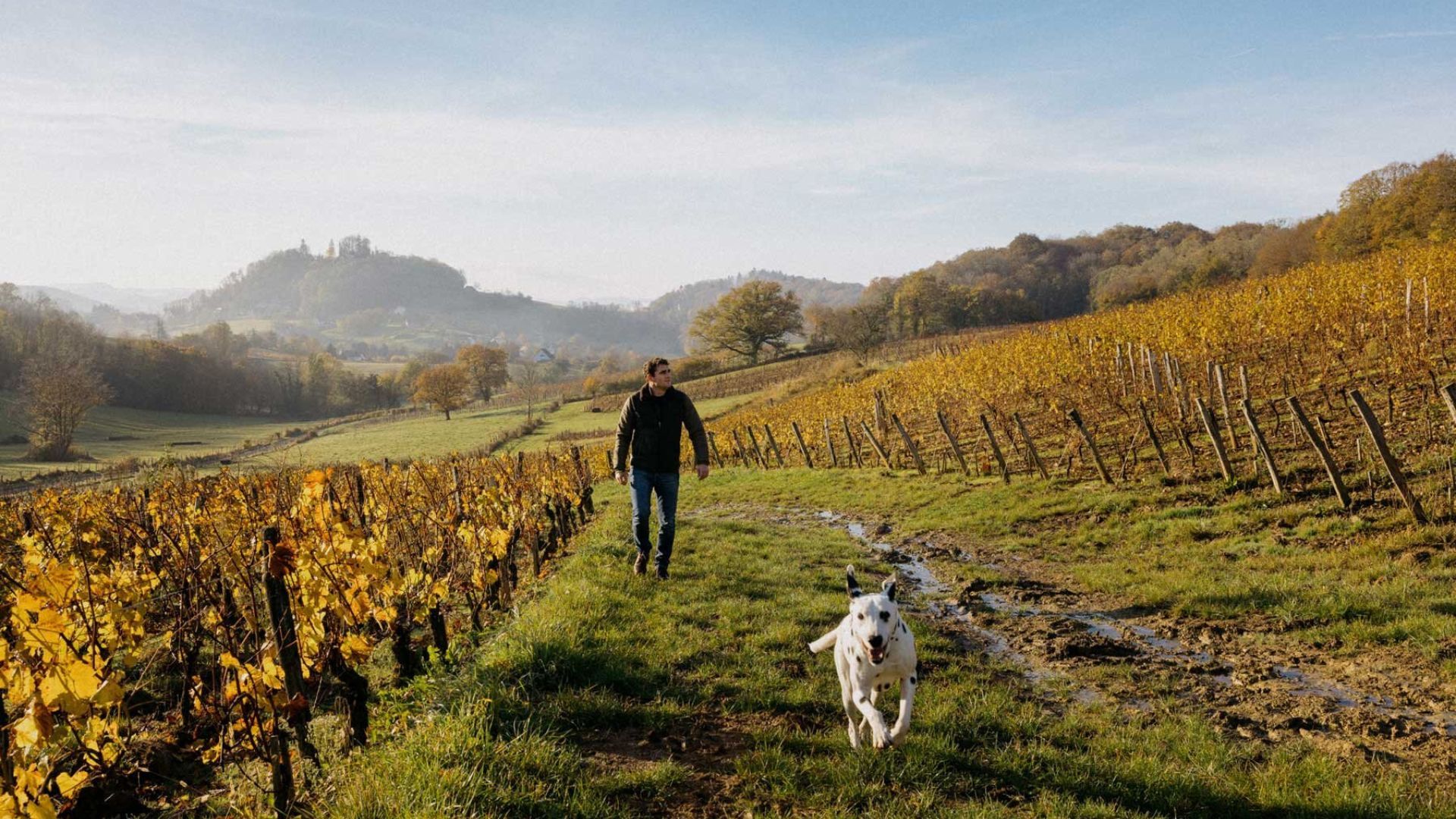 French wine region