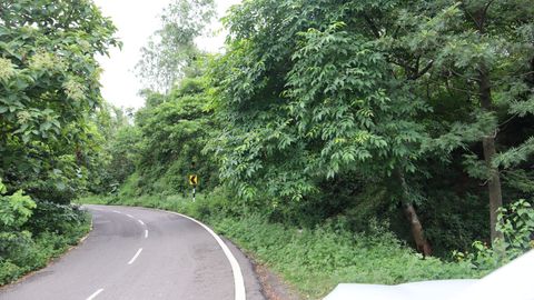 Morni Hills: Your Guide To The Quaint Hill Station 5 Hours From Delhi