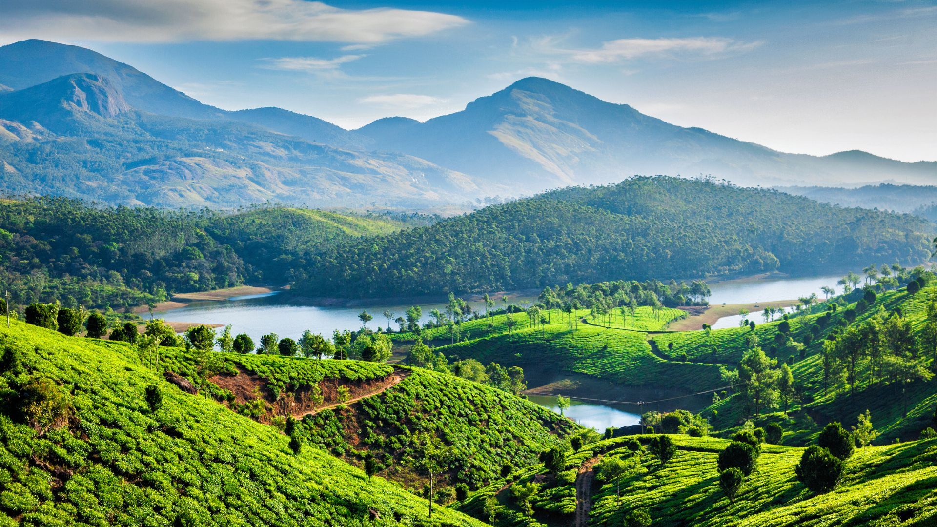 places to visit in munnar bison valley