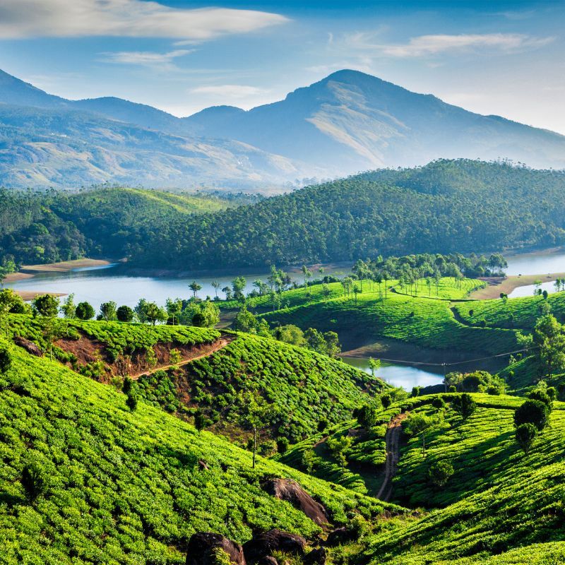 Exploring The Kashmir Of South India: Top Places To Visit In Munnar