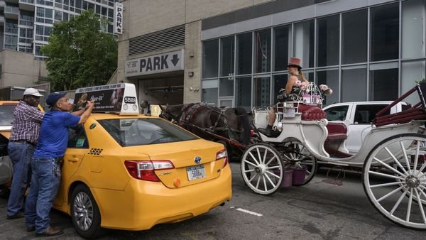 NYC launches new campaign to outlaw horse-drawn carriages as inhumane
