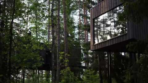 This New Forest Hotel In Sweden Has 5 'Floating' Tree House Suites