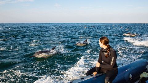 Deep-diving Into Wildlife Spectacles Off The Eastern Coast Of South Africa