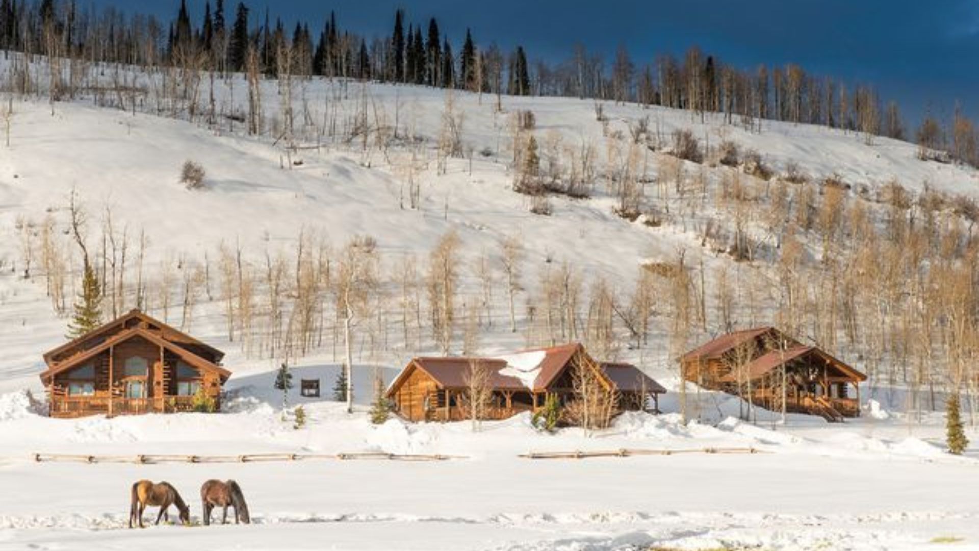 Vista Verde Guest Ranch