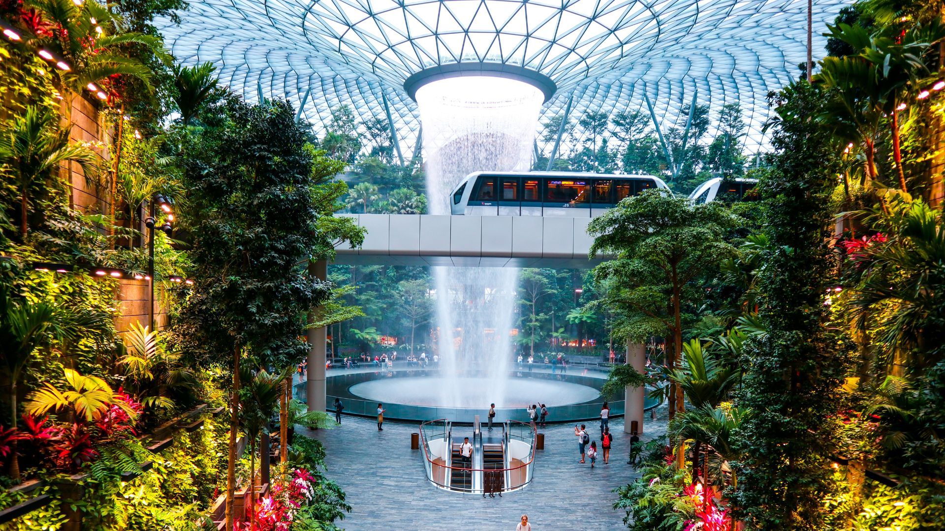 Singapore Changi Airport (SIN) (@changiairport) • Instagram photos and  videos