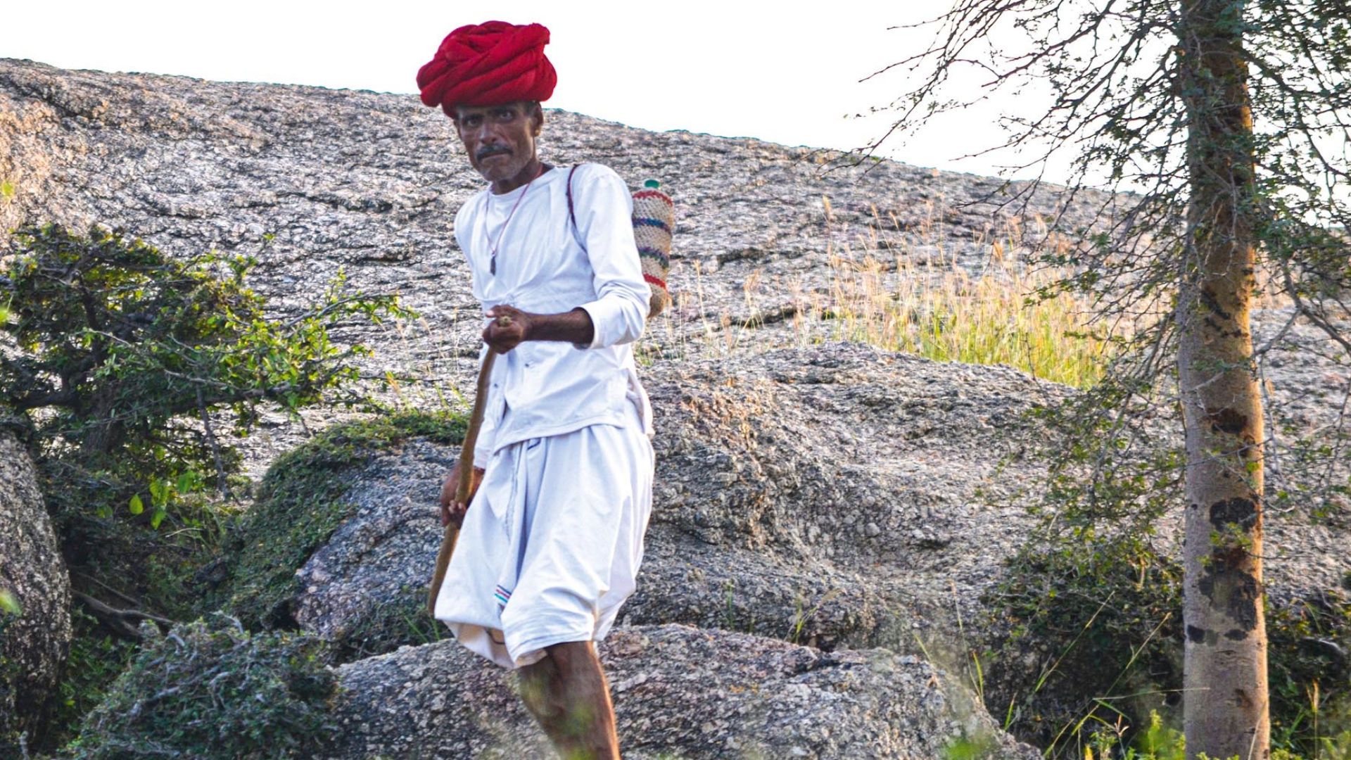 Jawai