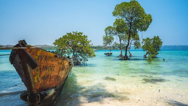 By Air, By Road, By Train: A Handy Guide For Exploring The Surreal Andaman & Nicobar